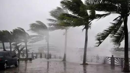 8月臺(tái)風(fēng)雨即將來(lái)，除濕機(jī)還得用起來(lái)