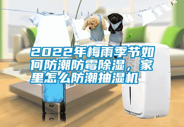 2022年梅雨季節(jié)如何防潮防霉除濕，家里怎么防潮抽濕機(jī)