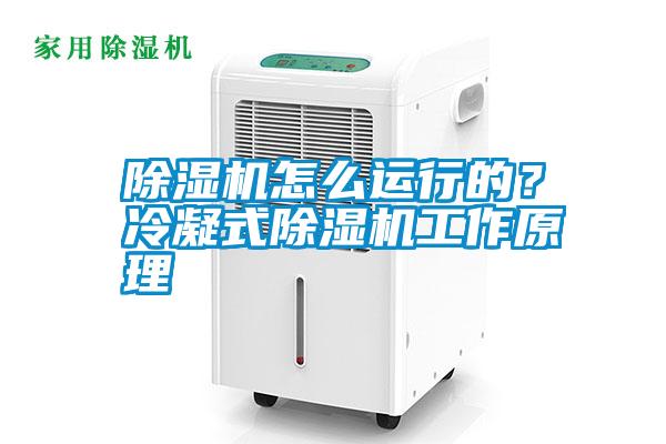 除濕機(jī)怎么運(yùn)行的？冷凝式除濕機(jī)工作原理