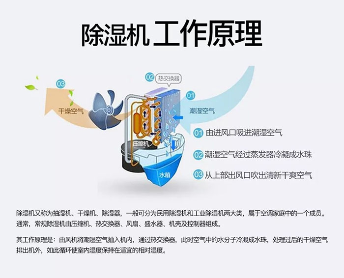 潮濕天氣狗最容易患上這種毛??！三個(gè)注意事項(xiàng)，鏟屎官一定要看看