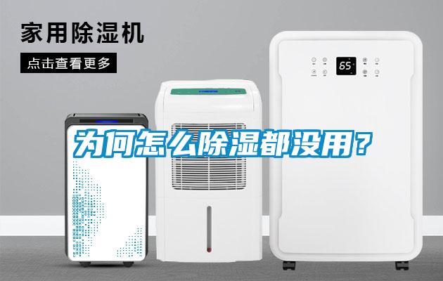 為何怎么除濕都沒用？