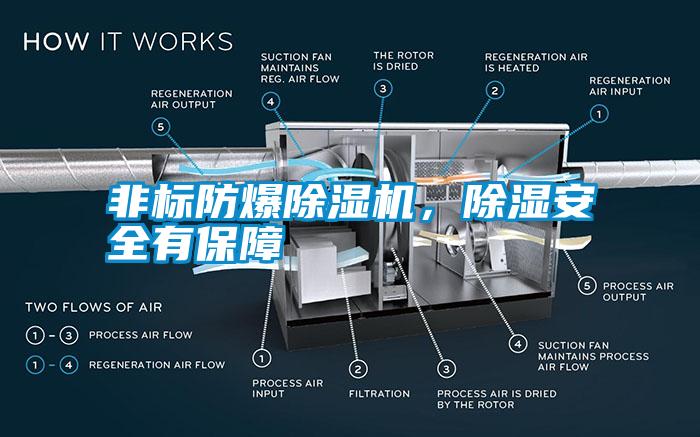 非標防爆除濕機，除濕安全有保障