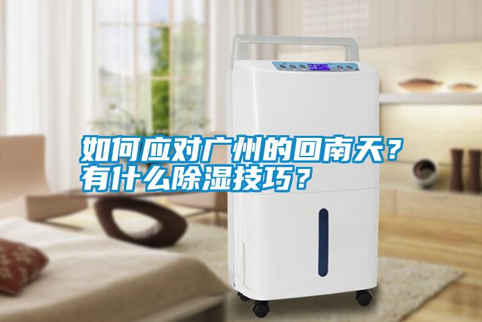 如何應(yīng)對廣州的回南天？有什么除濕技巧？