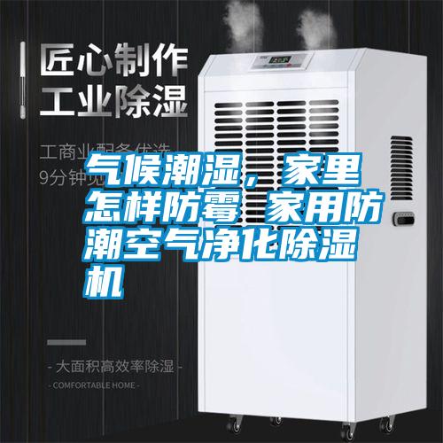 氣候潮濕，家里怎樣防霉 家用防潮空氣凈化除濕機(jī)