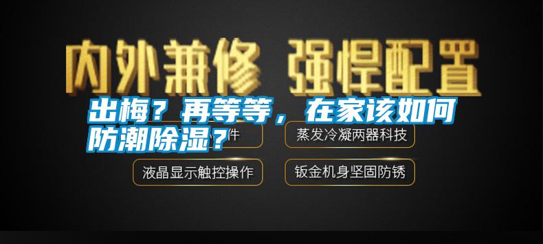 出梅？再等等，在家該如何防潮除濕？