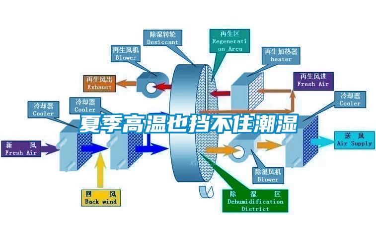 夏季高溫也擋不住潮濕