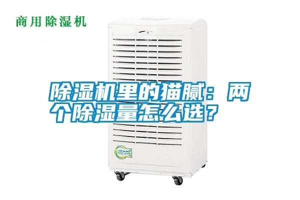 除濕機(jī)里的貓膩：兩個除濕量怎么選？