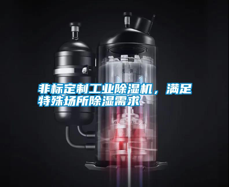 非標定制工業(yè)除濕機，滿足特殊場所除濕需求