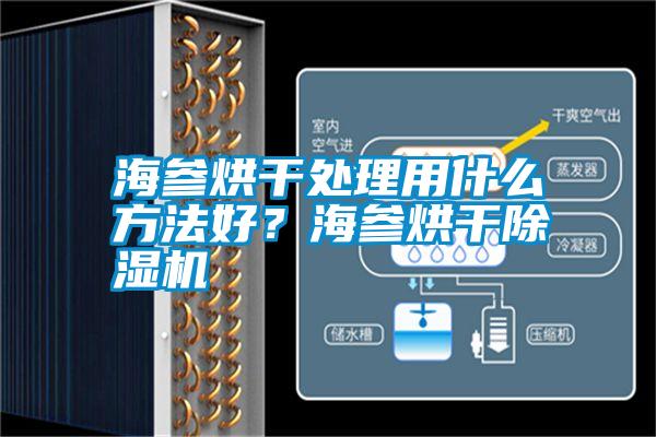 海參烘干處理用什么方法好？海參烘干除濕機(jī)