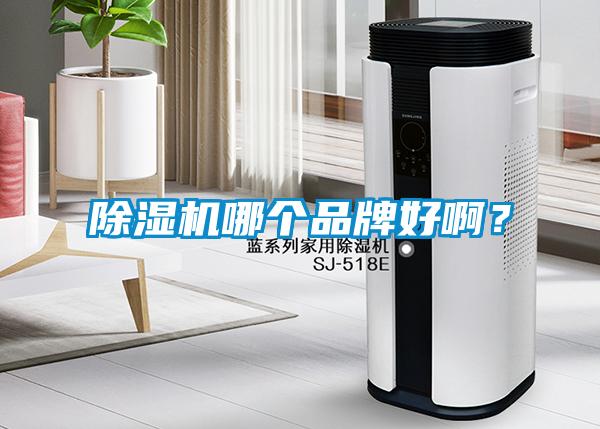 除濕機哪個品牌好?。?></div>
								<div   id=