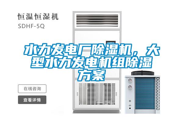 水力發(fā)電廠除濕機(jī)，大型水力發(fā)電機(jī)組除濕方案