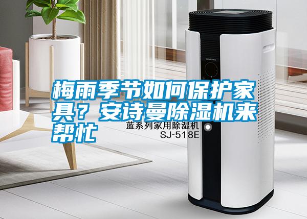 梅雨季節(jié)如何保護(hù)家具？安詩曼除濕機(jī)來幫忙