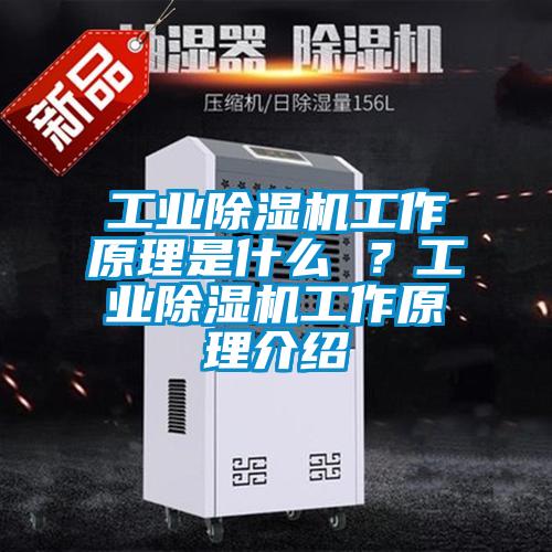 工業(yè)除濕機工作原理是什么 ？工業(yè)除濕機工作原理介紹