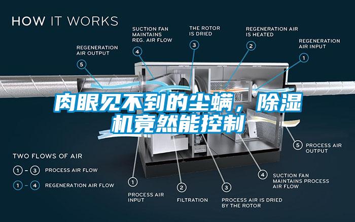 肉眼見(jiàn)不到的塵螨，除濕機(jī)竟然能控制