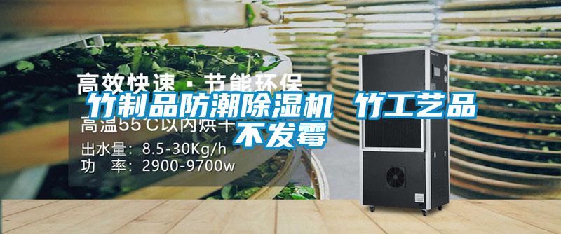 竹制品防潮除濕機(jī) 竹工藝品不發(fā)霉