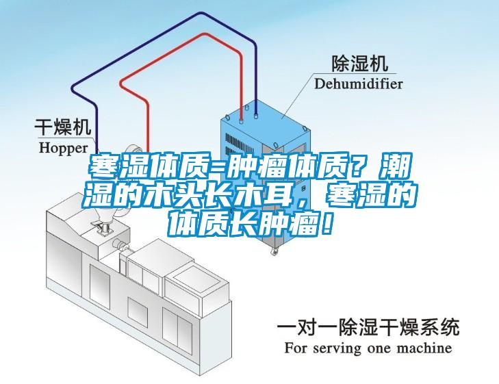 寒濕體質(zhì)=腫瘤體質(zhì)？潮濕的木頭長(zhǎng)木耳，寒濕的體質(zhì)長(zhǎng)腫瘤！