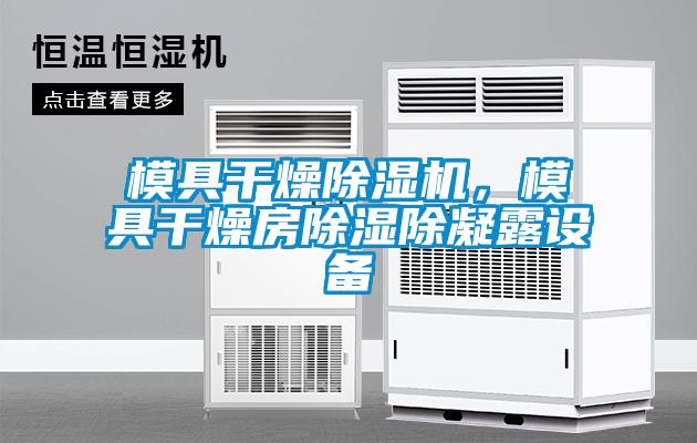 模具干燥除濕機，模具干燥房除濕除凝露設備