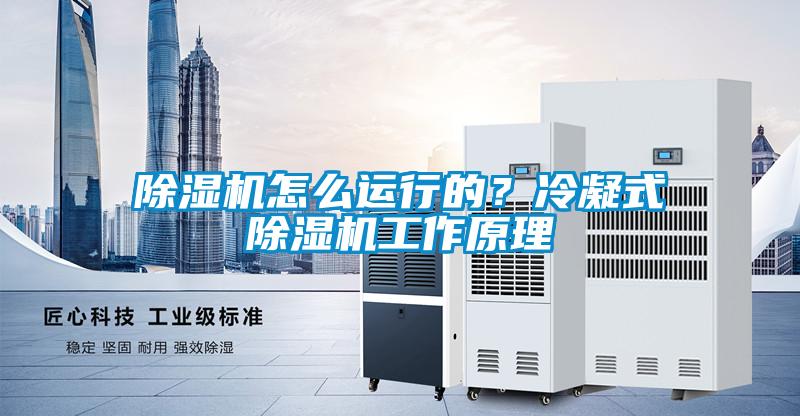 除濕機怎么運行的？冷凝式除濕機工作原理