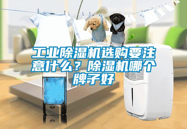 工業(yè)除濕機(jī)選購要注意什么？除濕機(jī)哪個(gè)牌子好