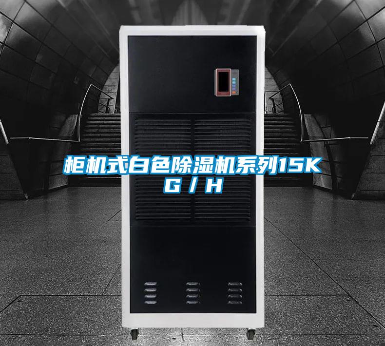 柜機式白色除濕機系列15KG／H