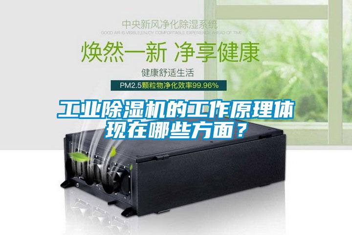 工業(yè)除濕機的工作原理體現(xiàn)在哪些方面？