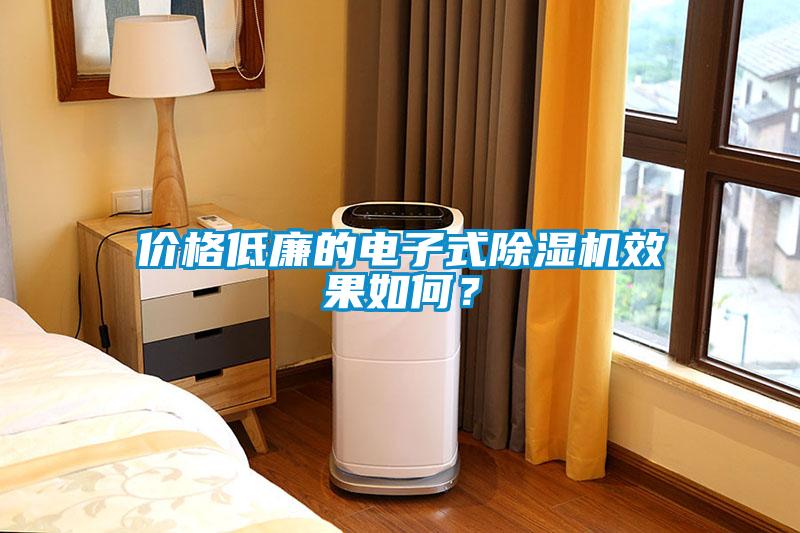 價格低廉的電子式除濕機效果如何？