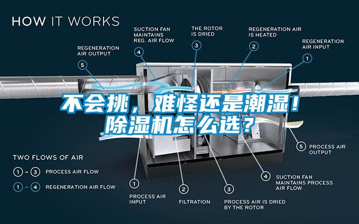 不會挑，難怪還是潮濕！除濕機怎么選？