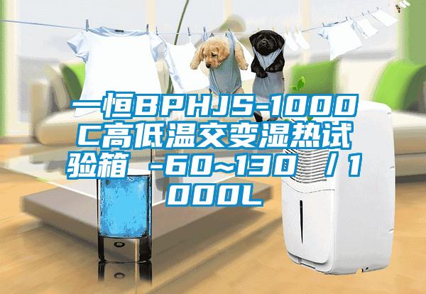 一恒BPHJS-1000C高低溫交變濕熱試驗(yàn)箱 -60~130℃／1000L