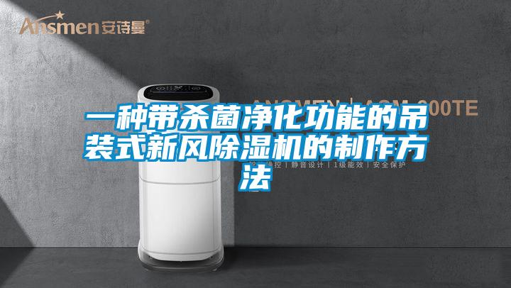 一種帶殺菌凈化功能的吊裝式新風(fēng)除濕機的制作方法