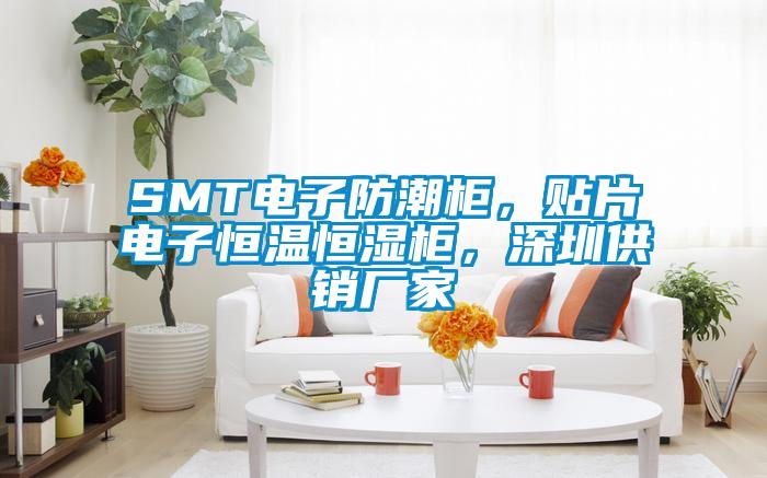 SMT電子防潮柜，貼片電子恒溫恒濕柜，深圳供銷廠家