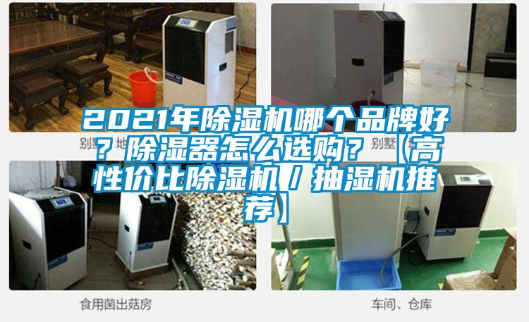 2021年除濕機哪個品牌好？除濕器怎么選購？【高性價比除濕機／抽濕機推薦】