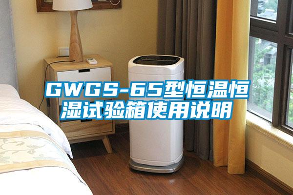 GWGS-65型恒溫恒濕試驗(yàn)箱使用說(shuō)明