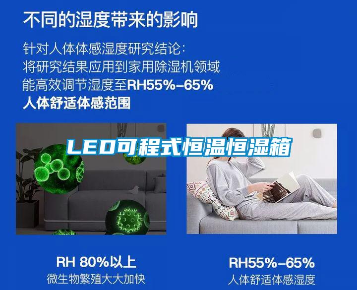 LED可程式恒溫恒濕箱