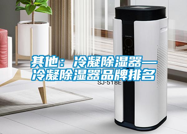 其他：冷凝除濕器—冷凝除濕器品牌排名