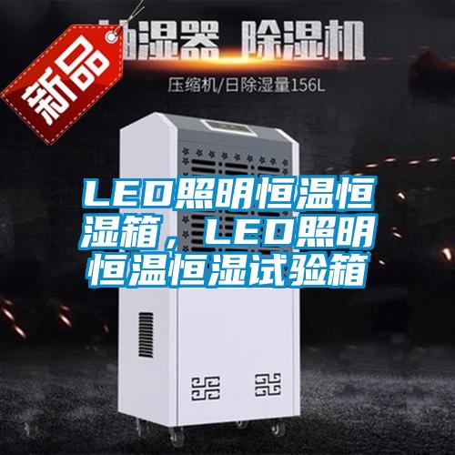 LED照明恒溫恒濕箱，LED照明恒溫恒濕試驗箱