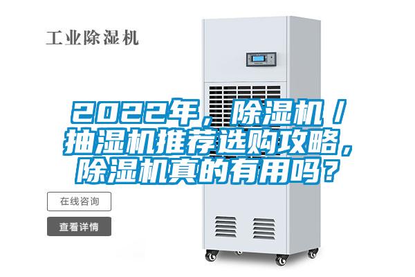 2022年，除濕機／抽濕機推薦選購攻略，除濕機真的有用嗎？