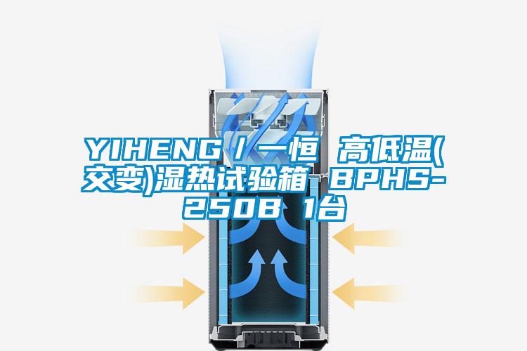 YIHENG／一恒 高低溫(交變)濕熱試驗(yàn)箱 BPHS-250B 1臺