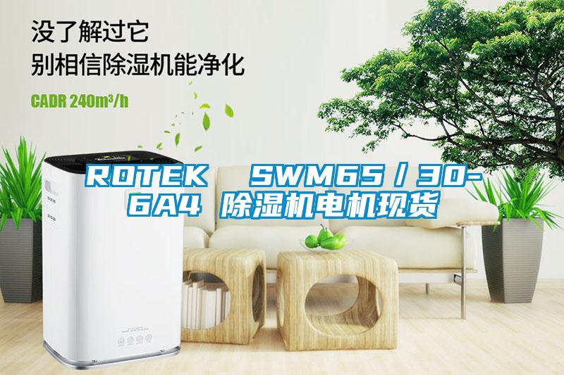 ROTEK  SWM65／30-6A4 除濕機(jī)電機(jī)現(xiàn)貨