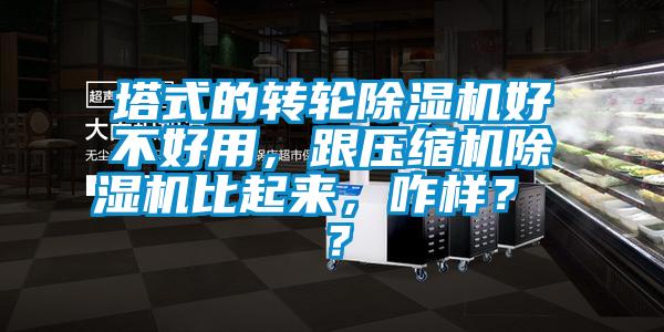 塔式的轉輪除濕機好不好用，跟壓縮機除濕機比起來，咋樣？ ？