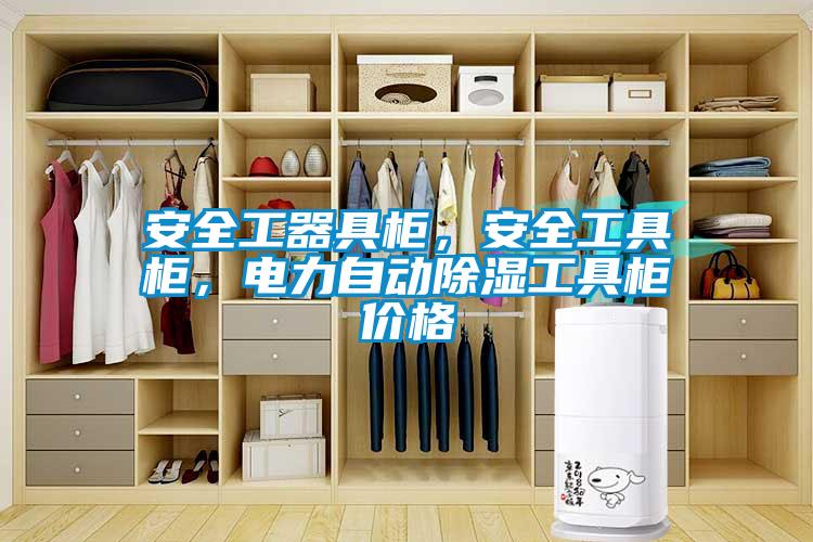 安全工器具柜，安全工具柜，電力自動(dòng)除濕工具柜價(jià)格