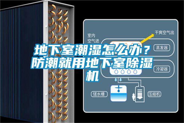 地下室潮濕怎么辦？防潮就用地下室除濕機