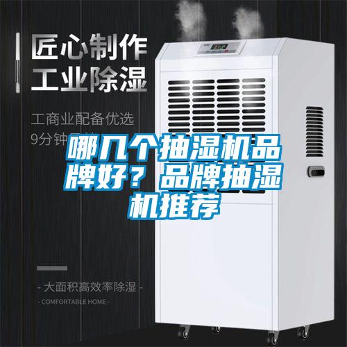 哪幾個抽濕機品牌好？品牌抽濕機推薦