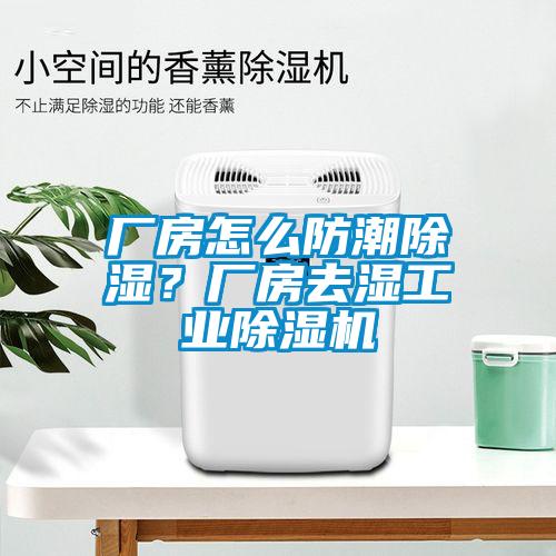 廠房怎么防潮除濕？廠房去濕工業(yè)除濕機