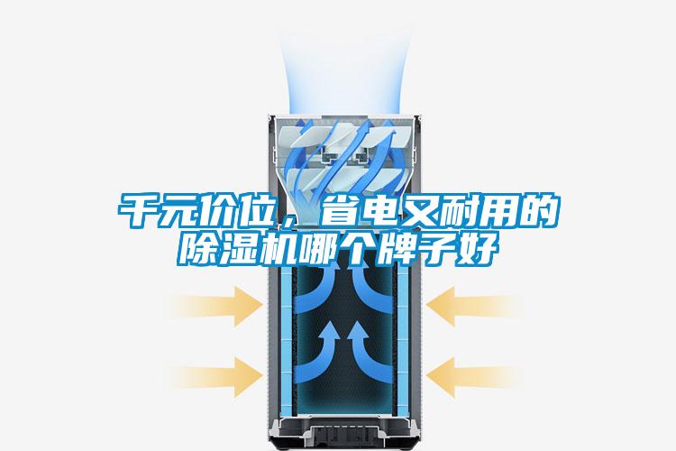 千元價(jià)位，省電又耐用的除濕機(jī)哪個(gè)牌子好