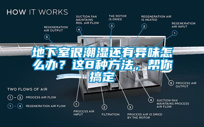 地下室很潮濕還有異味怎么辦？這8種方法，幫你搞定