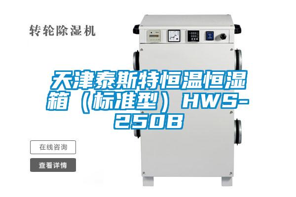 天津泰斯特恒溫恒濕箱（標準型）HWS-250B