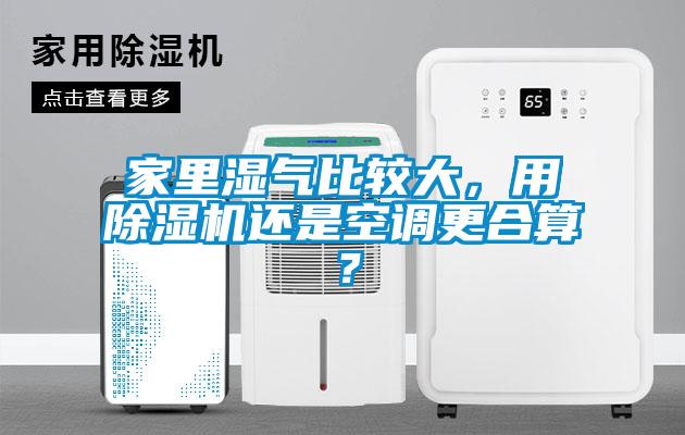 家里濕氣比較大，用除濕機(jī)還是空調(diào)更合算？