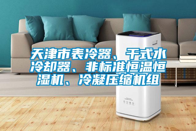 天津市表冷器、干式水冷卻器、非標準恒溫恒濕機、冷凝壓縮機組