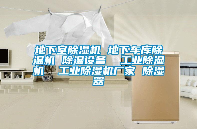 地下室除濕機 地下車庫除濕機 除濕設備  工業(yè)除濕機  工業(yè)除濕機廠家 除濕器