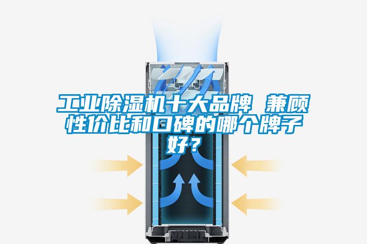 工業(yè)除濕機十大品牌 兼顧性價比和口碑的哪個牌子好？